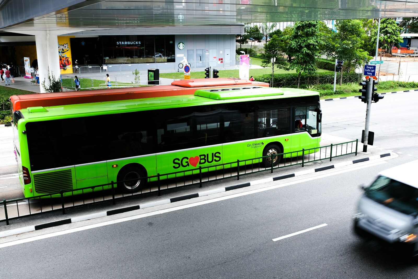 green and white bus on road during daytime